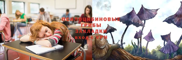 мдпв Пролетарск