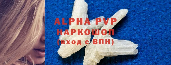 PSILOCYBIN Инсар