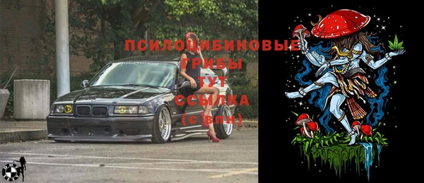 2c-b Алзамай